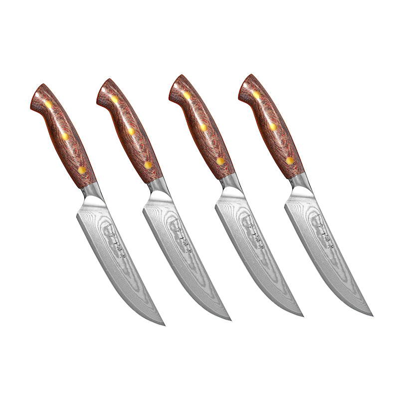 Hezhen X02M pihviveitset 4 kpl – Laadukkaat steak-veitset