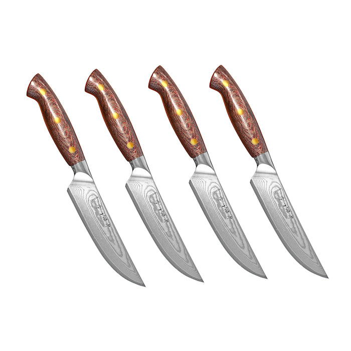 Hezhen X02M pihviveitset 4 kpl – Laadukkaat steak-veitset